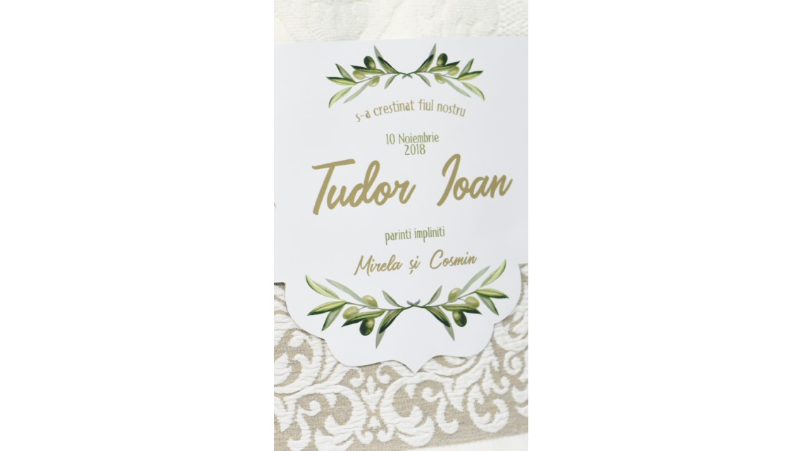Trusou botez pentru baieti in alb si verde, tematica maslinul, Olives 1